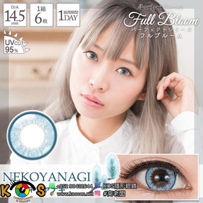 PerfectSeries 1Day Full Bloom Nekoyanagi パーフェクトシリーズワンデー フルブルーム ネコヤナギ PerfectSeries 1Day Full Bloom Nekoyanagi パーフェクトシリーズワンデー フルブルーム ネコヤナギ